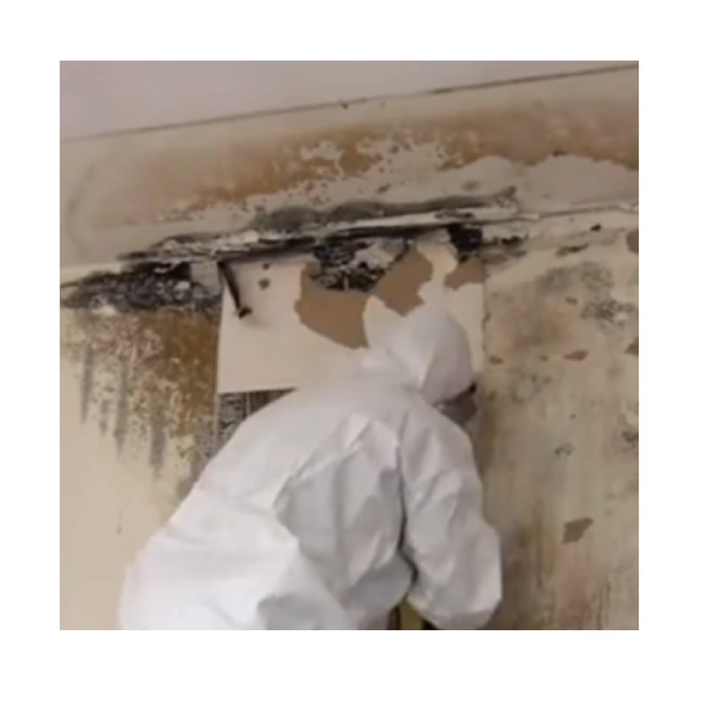 Mold Can Be Serious

Mold can sometimes be just as bad as a natural disaster to a job site or...